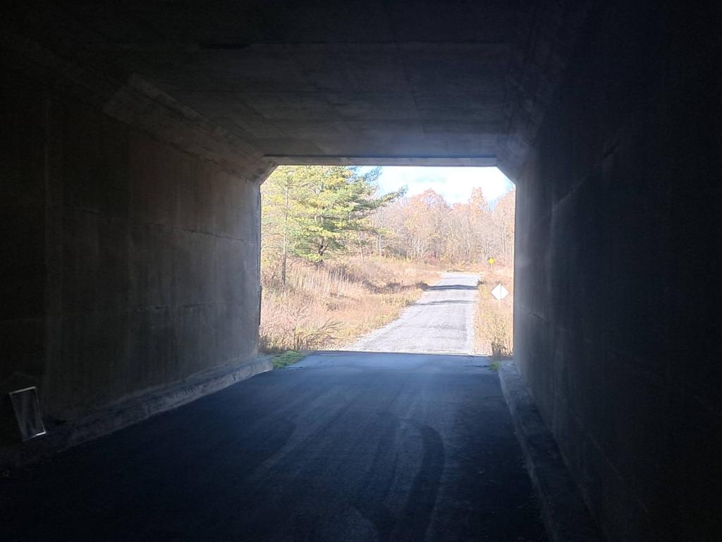 Photo: Under the Thruway Photo: Under the Thruway