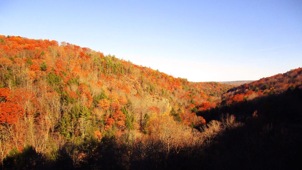 Photo: Enfield Glen