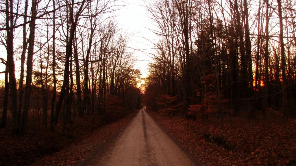 Photo: Chicken Coop Road