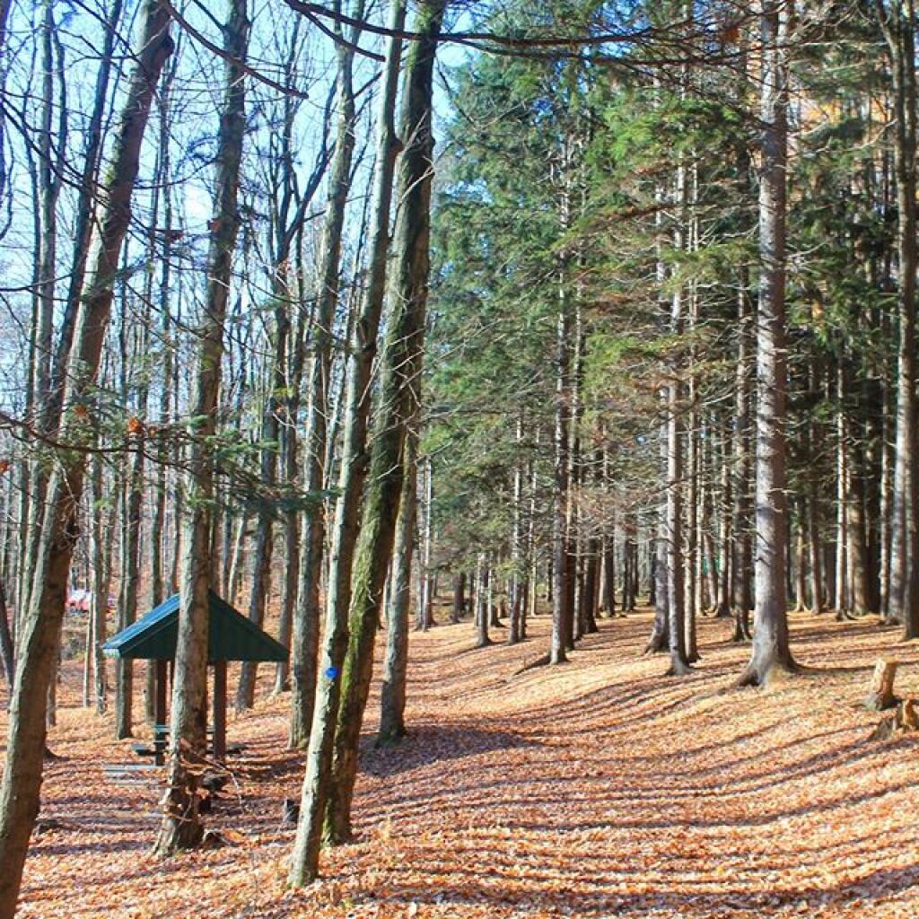 Photo: Overlook Trail