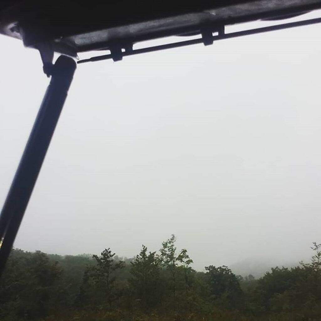 Photo: Foggy and damp Photo: Foggy and damp