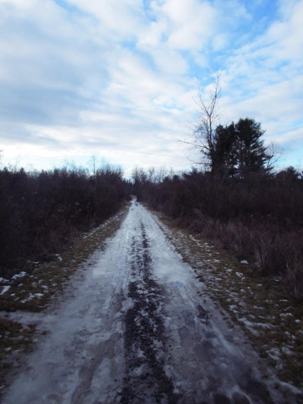 Photo: Icy Photo: Icy