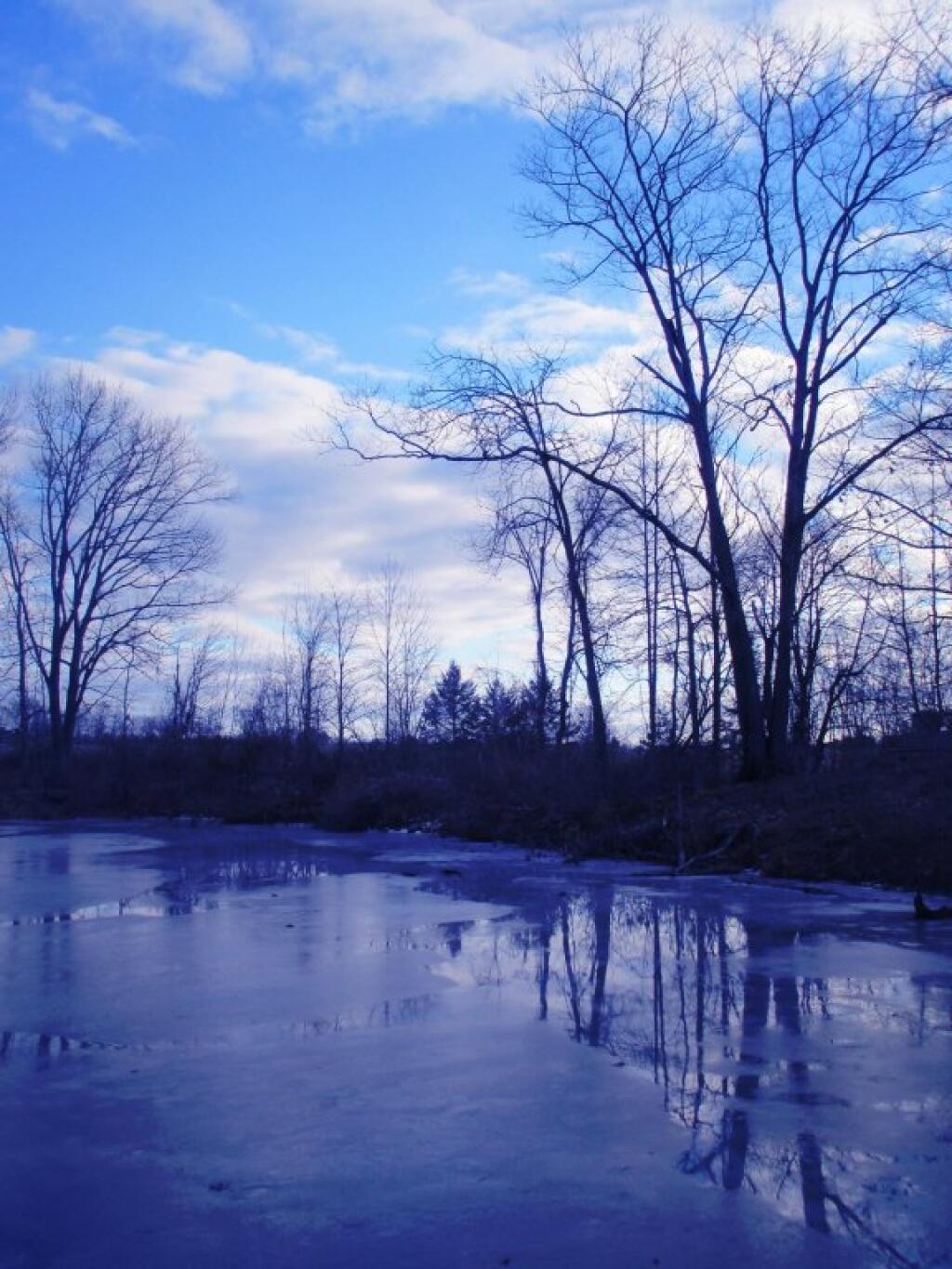 Photo: Pond