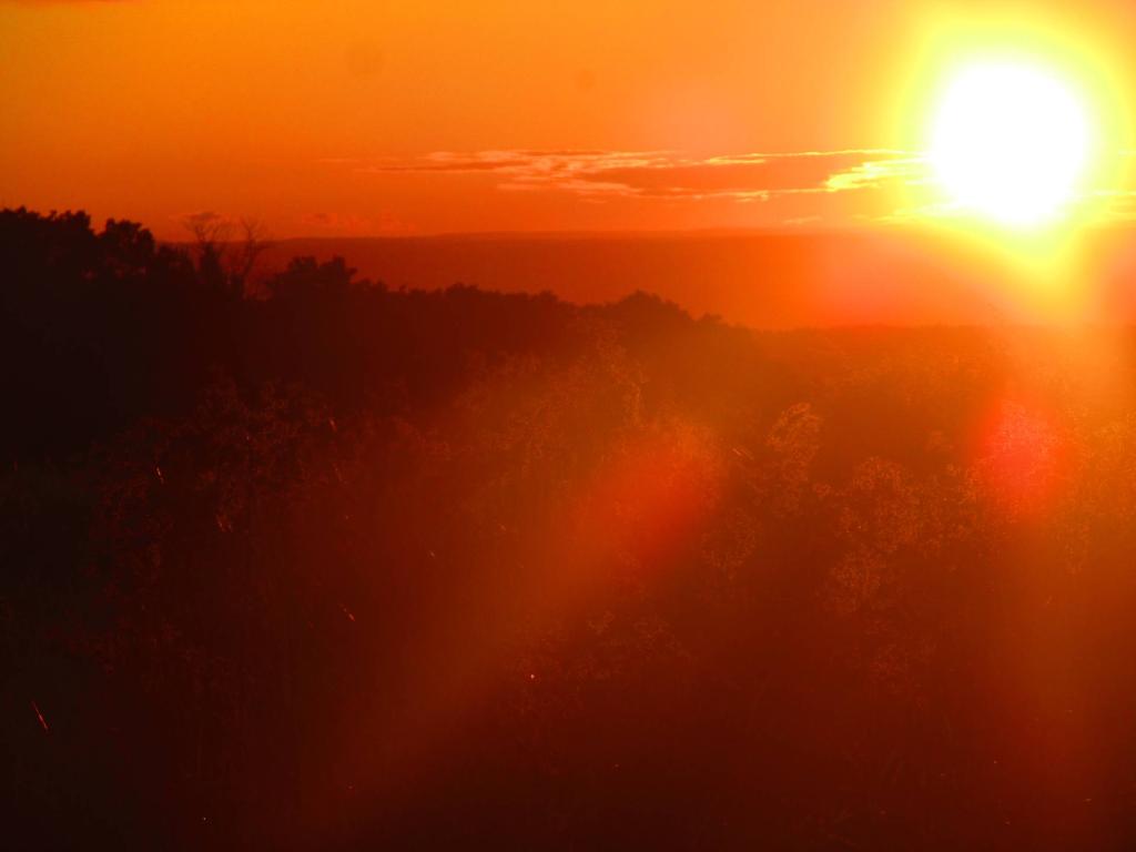 Photo: Sunlight