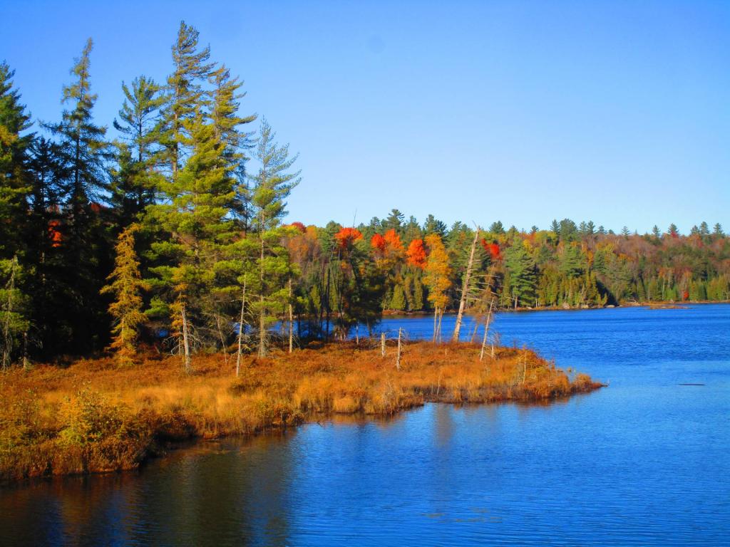 Photo: MCCauley Pond