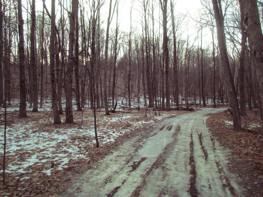 Photo: Trail Was Icy In Spots