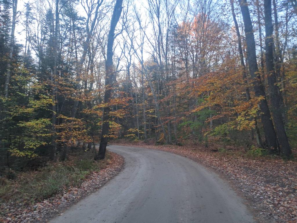Photo: Floodwood Road Photo: Floodwood Road