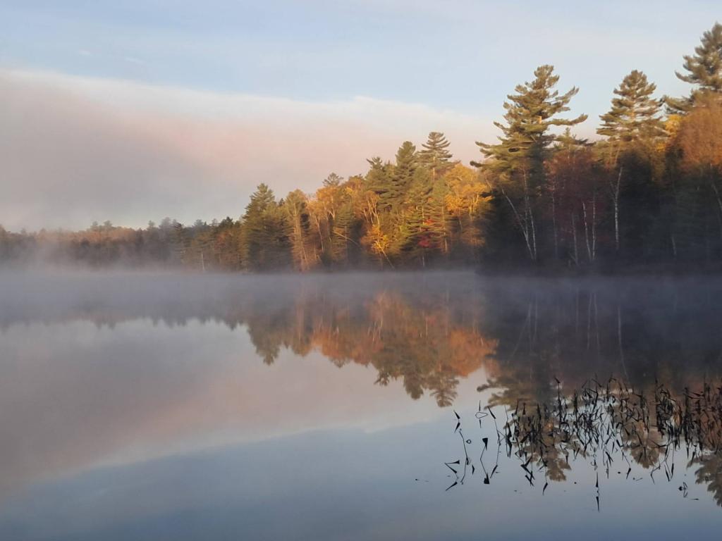 Photo: East Pine Pond Photo: East Pine Pond