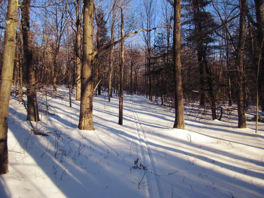 Photo: First Tracks Photo: First Tracks