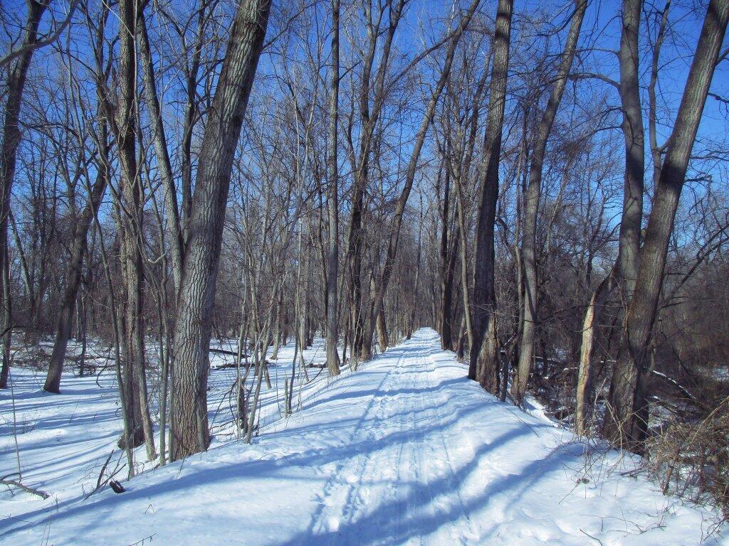 Photo: Along The Ridge