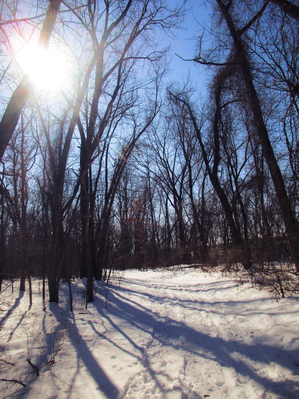Photo: Nice Skiing Photo: Nice Skiing