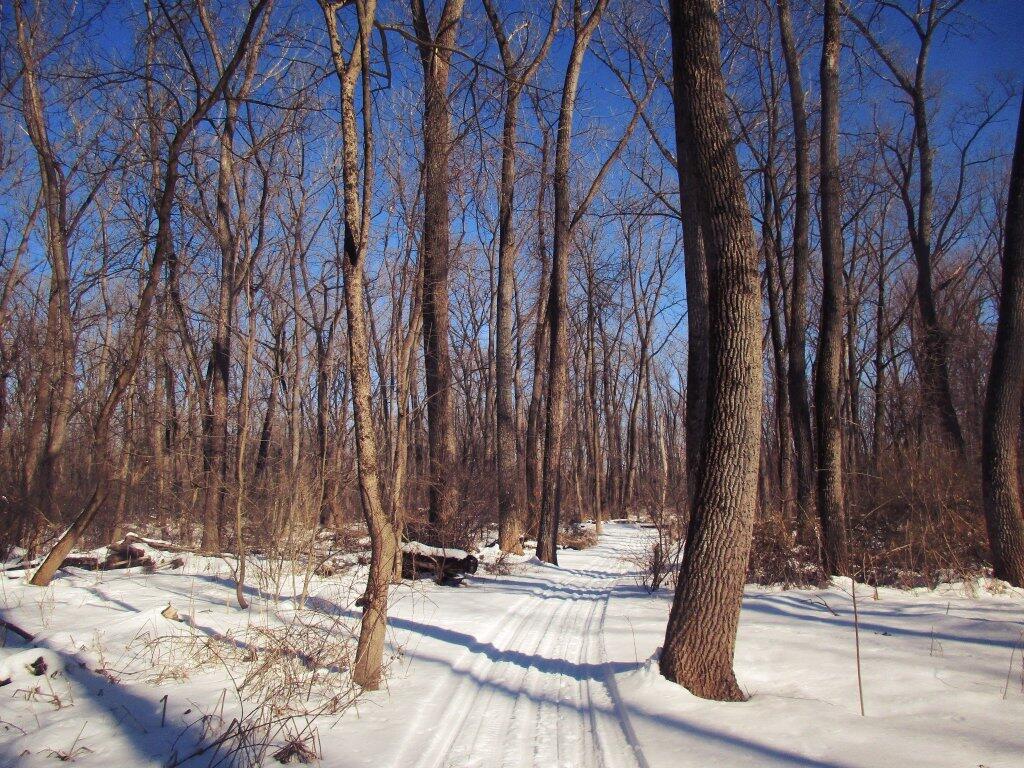 Photo: Through The Woods Photo: Through The Woods