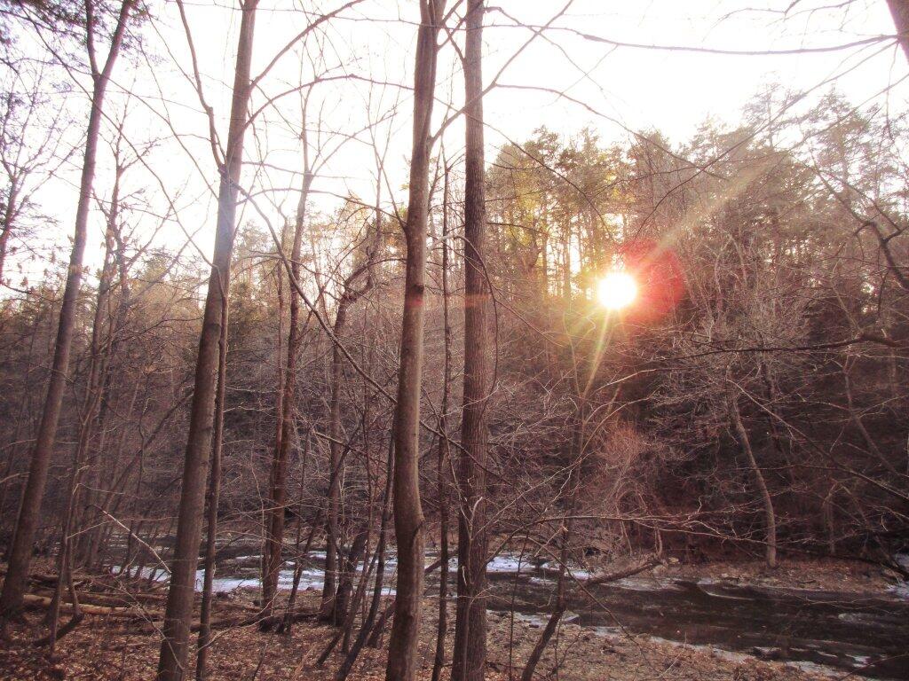 Photo: Quiet in the Gorge