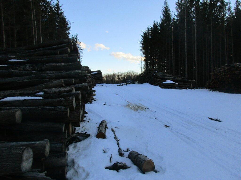 Photo: Big Timber Sale