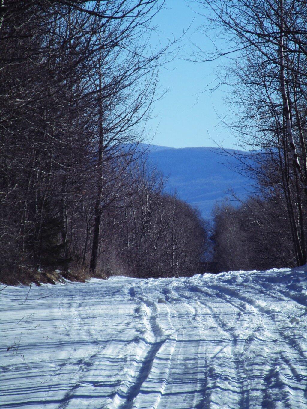 Photo: Scutt Road