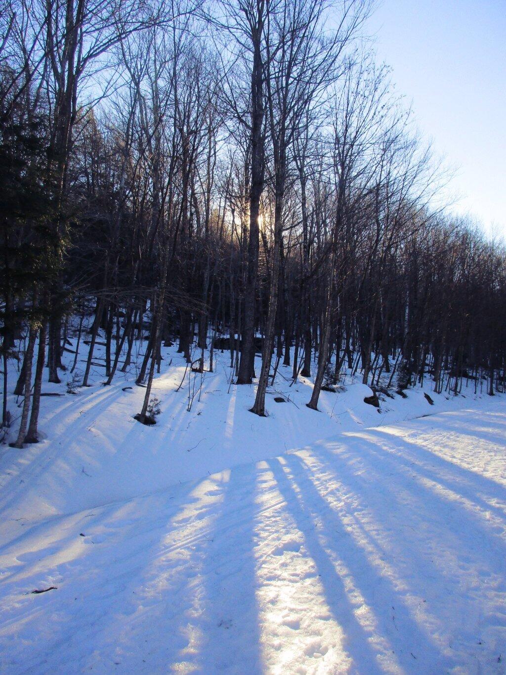 Photo: Through The Trees Photo: Through The Trees