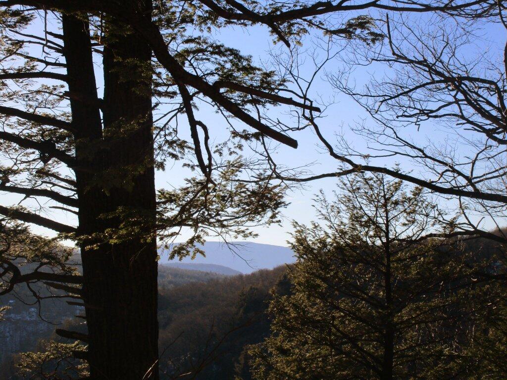 Photo: View From Overlook