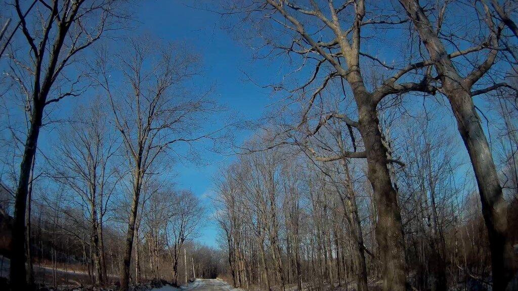 Photo: Wolf Hill Road 01 Photo: Wolf Hill Road 01