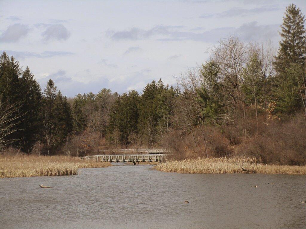 Photo: Pond
