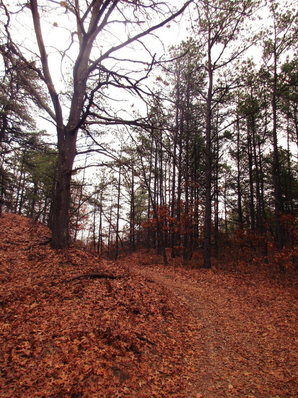Photo: Bend Photo: Bend