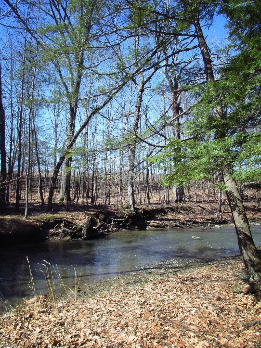 Photo: Nice Spring Day On The Vlomans Kill Photo: Nice Spring Day On The Vlomans Kill