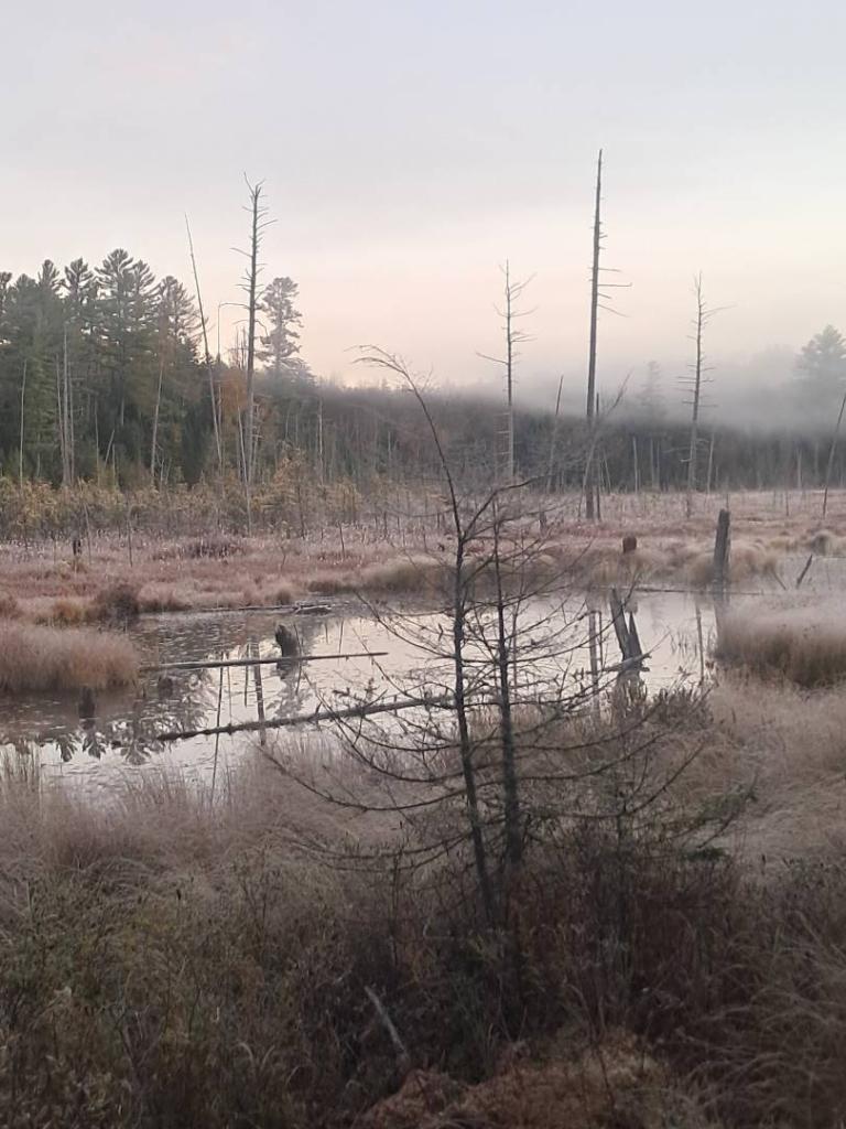 Photo: Frosty Photo: Frosty