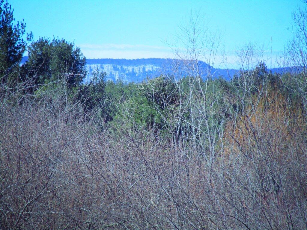 Photo: Still Snow In The Heldebergs