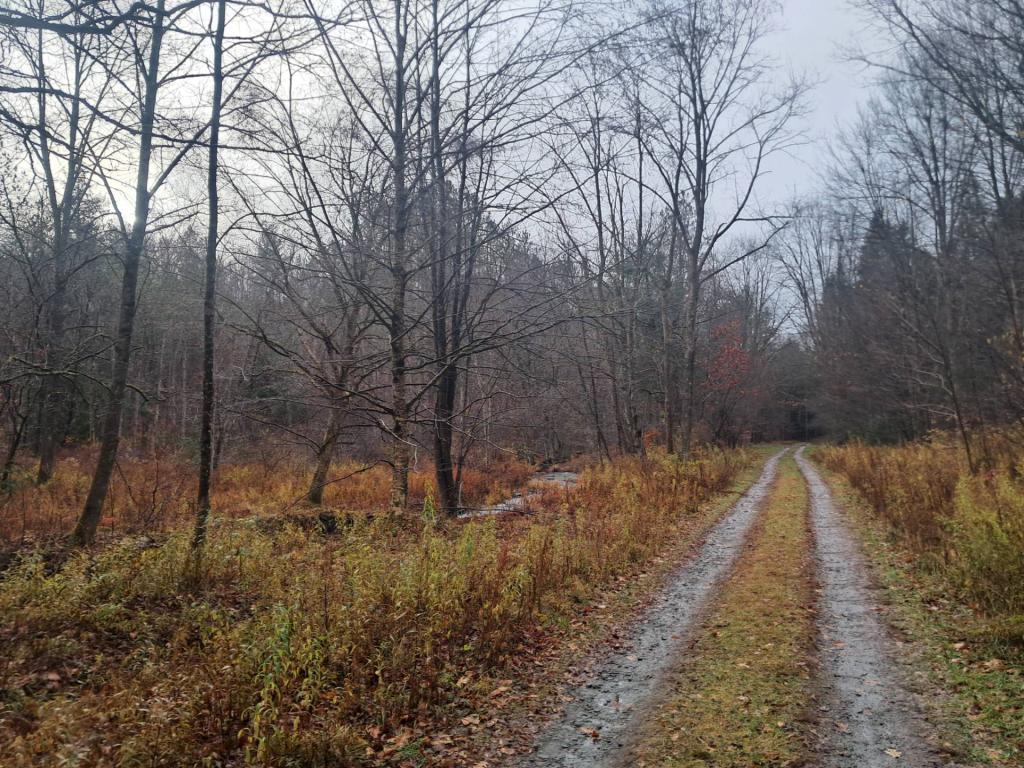 Photo: Betty Brook Road Photo: Betty Brook Road