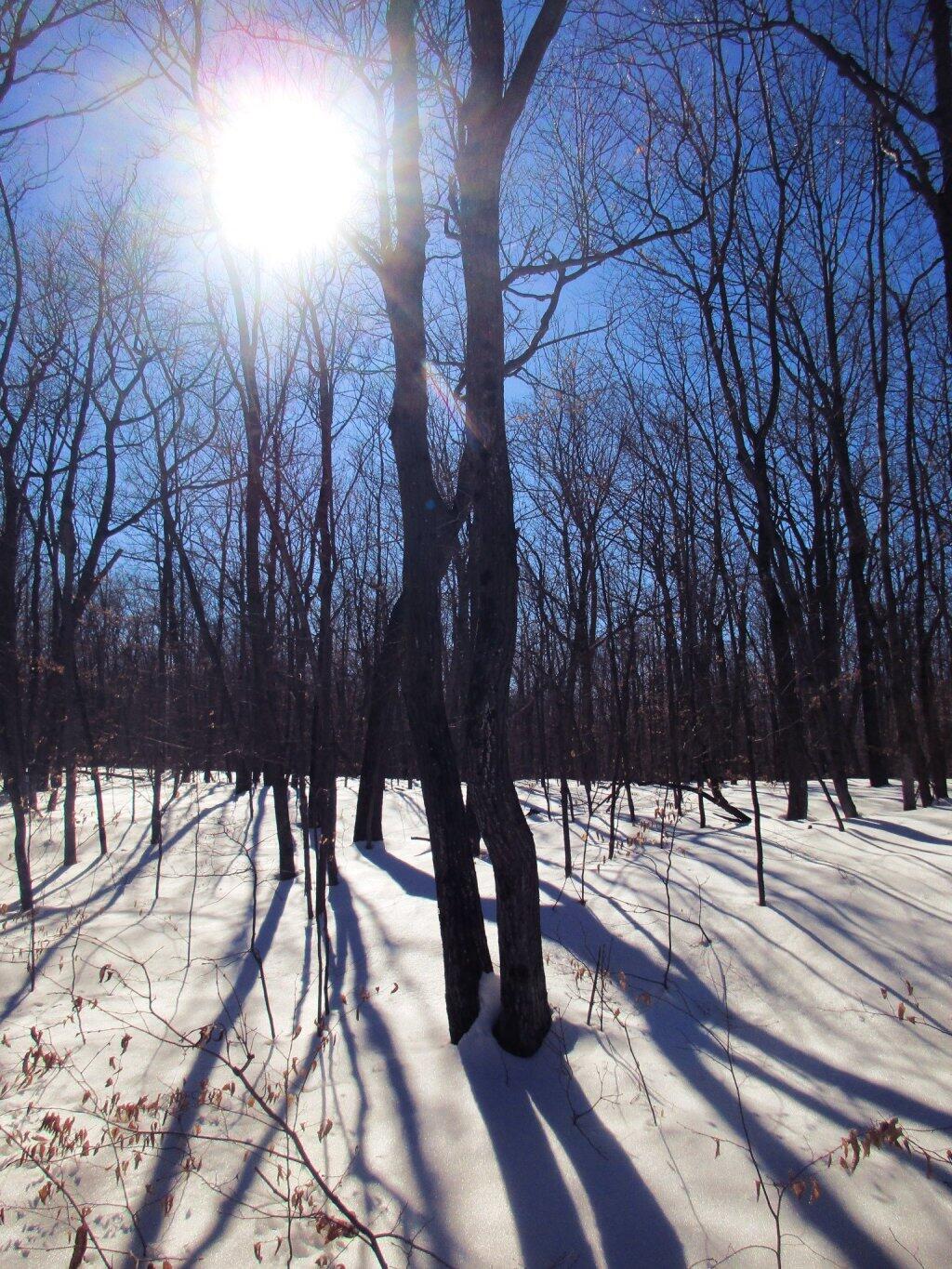 Photo: Bright Sun
