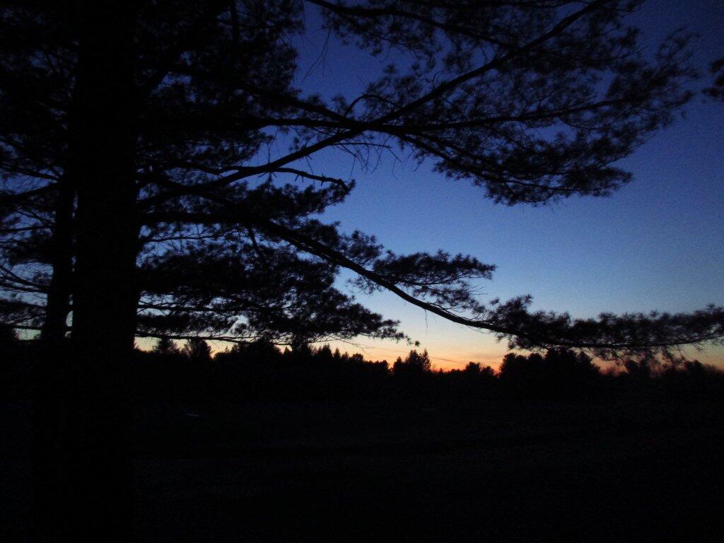 Photo: Dusk Photo: Dusk
