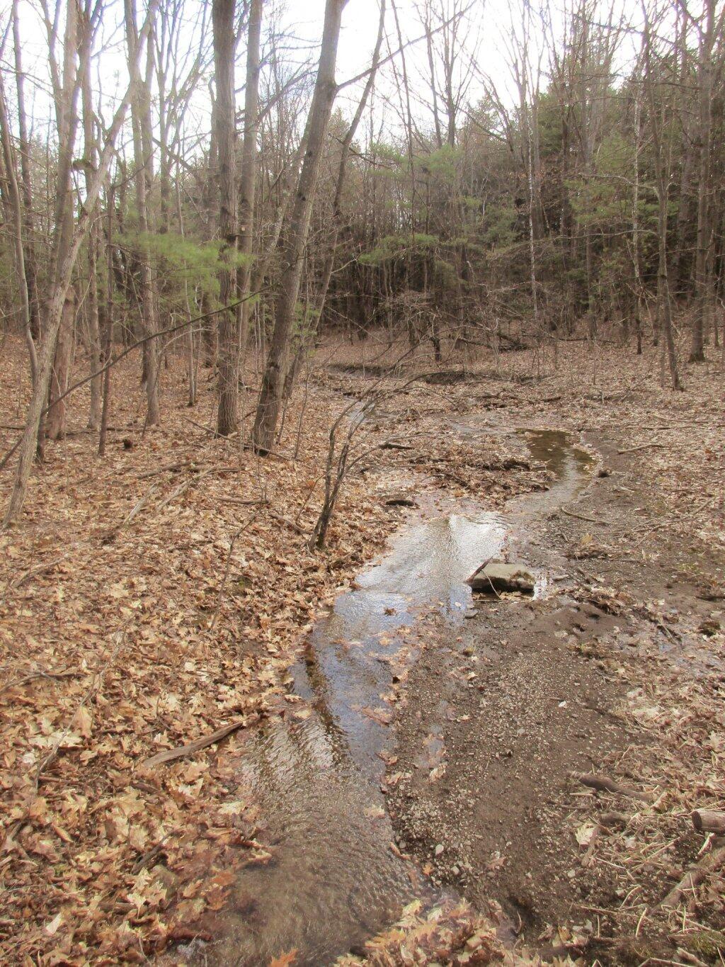 Photo: Headwaters Of Hannacroix Creek