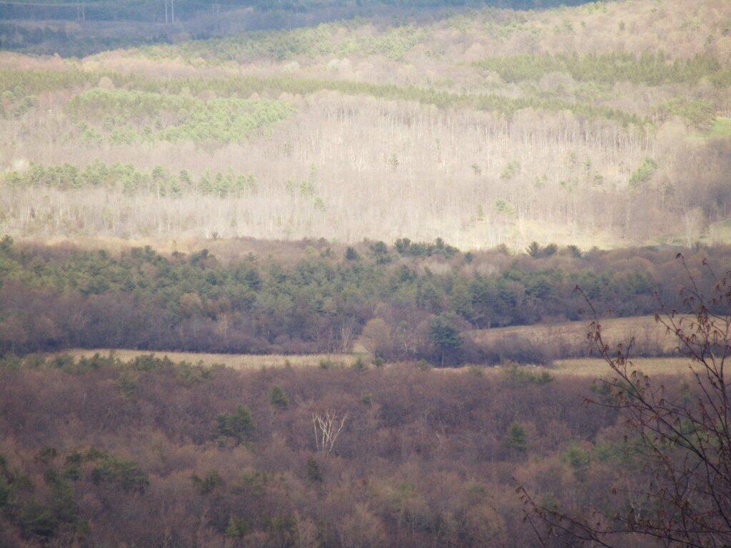 Photo: Just Before Spring