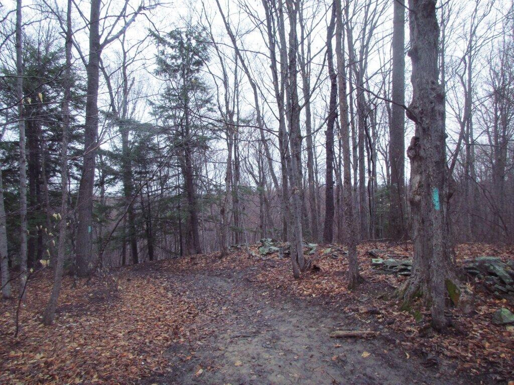 Photo: Muddy Trail Photo: Muddy Trail