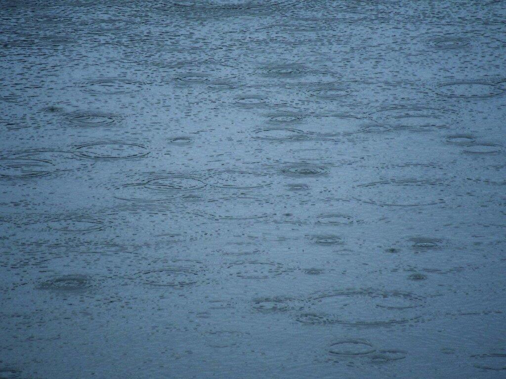 Photo: Rain Drops