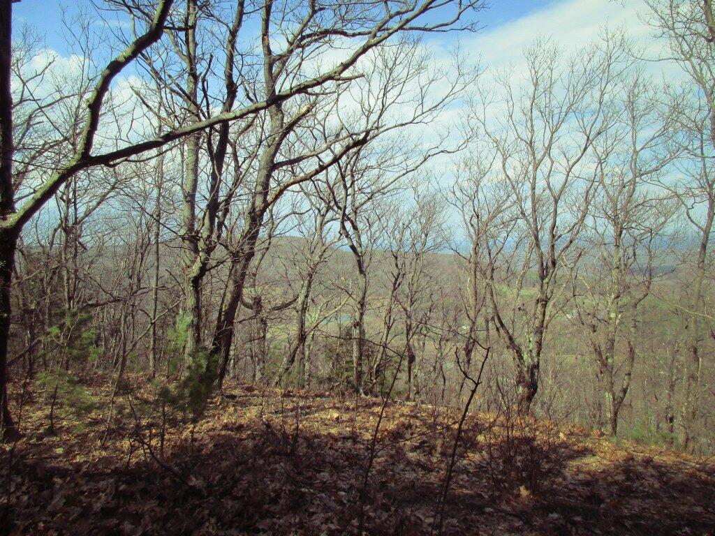 Photo: View Along The White Trail