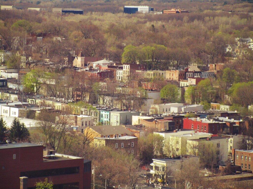 Photo: Arbor Hill Photo: Arbor Hill