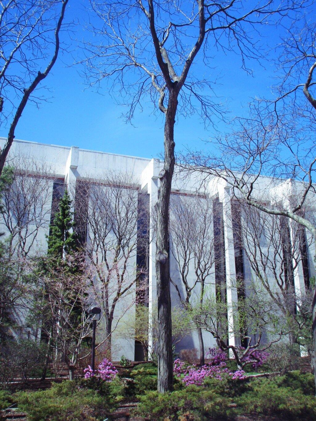 Photo: Spring At The State DMV