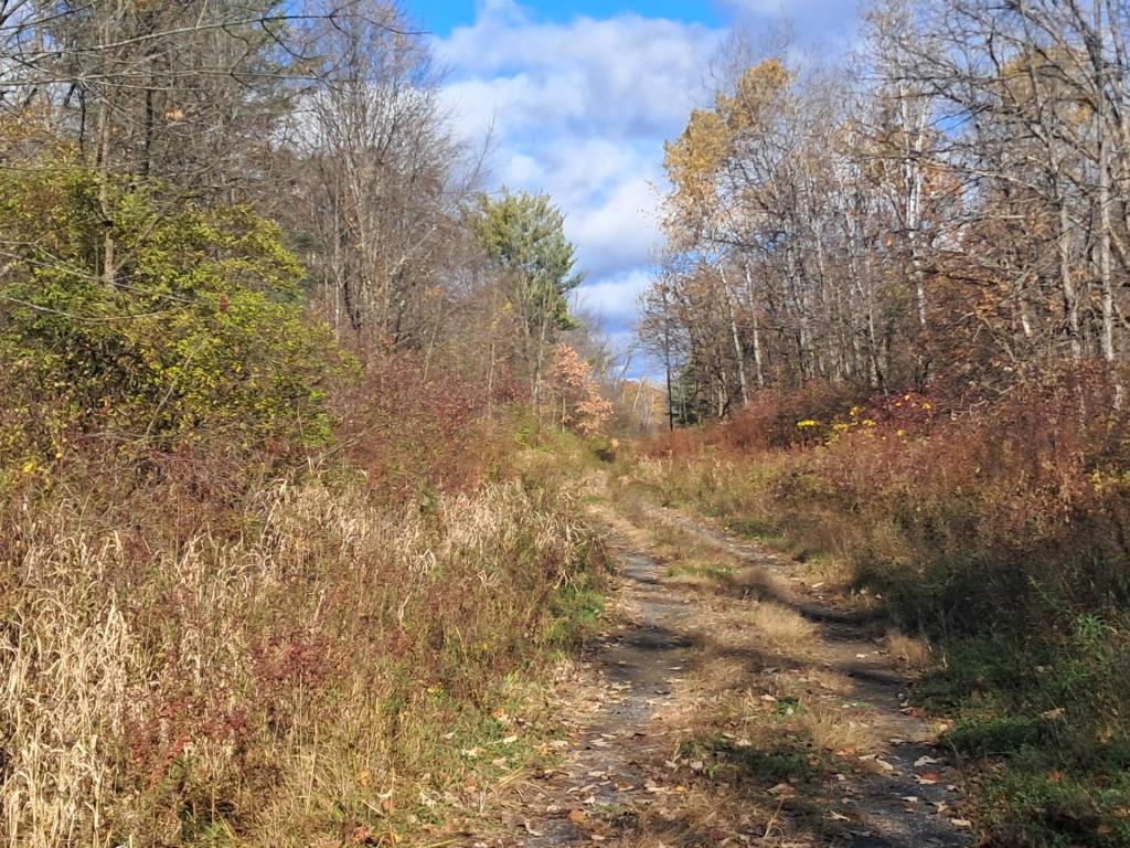 Photo: Old Rail Grade