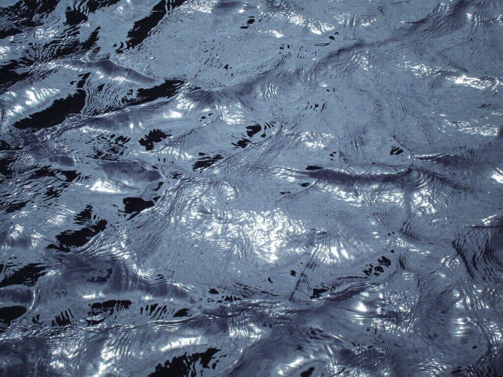 Photo: Black Water Photo: Black Water
