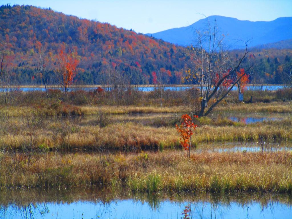 Photo: Raquette River Photo: Raquette River