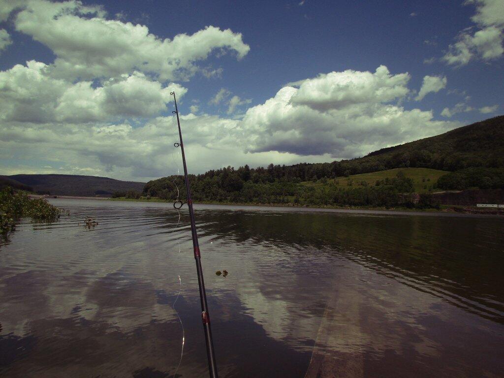 Photo: Fishing At The Bleheim Reservior