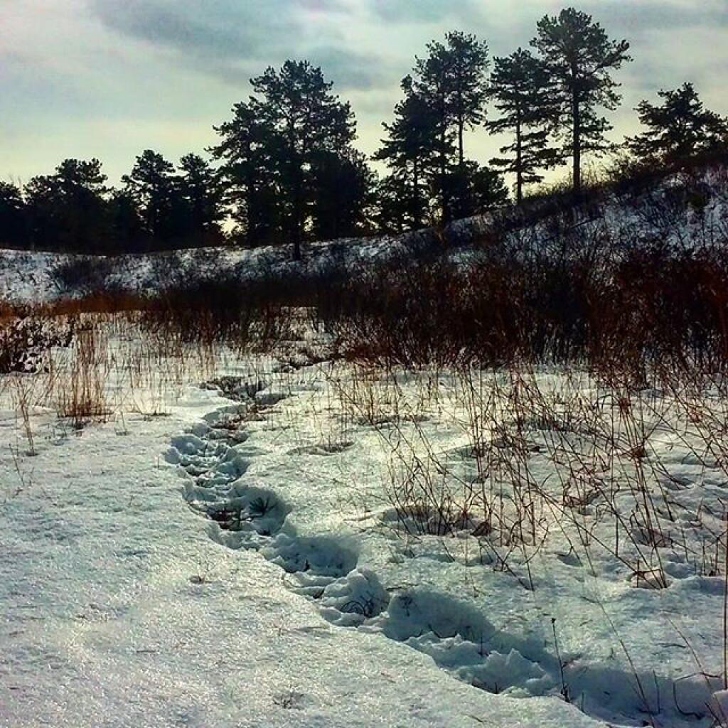 Photo: Trail