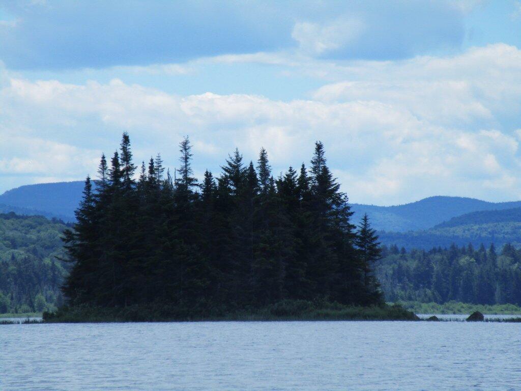 Photo: Island Photo: Island
