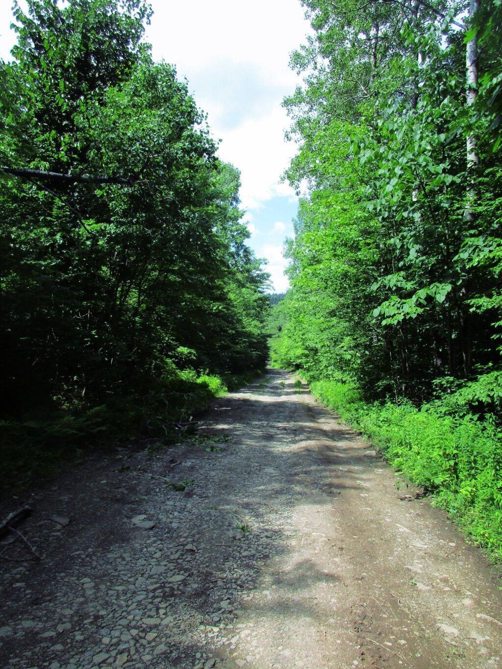 Photo: Beaver Road
