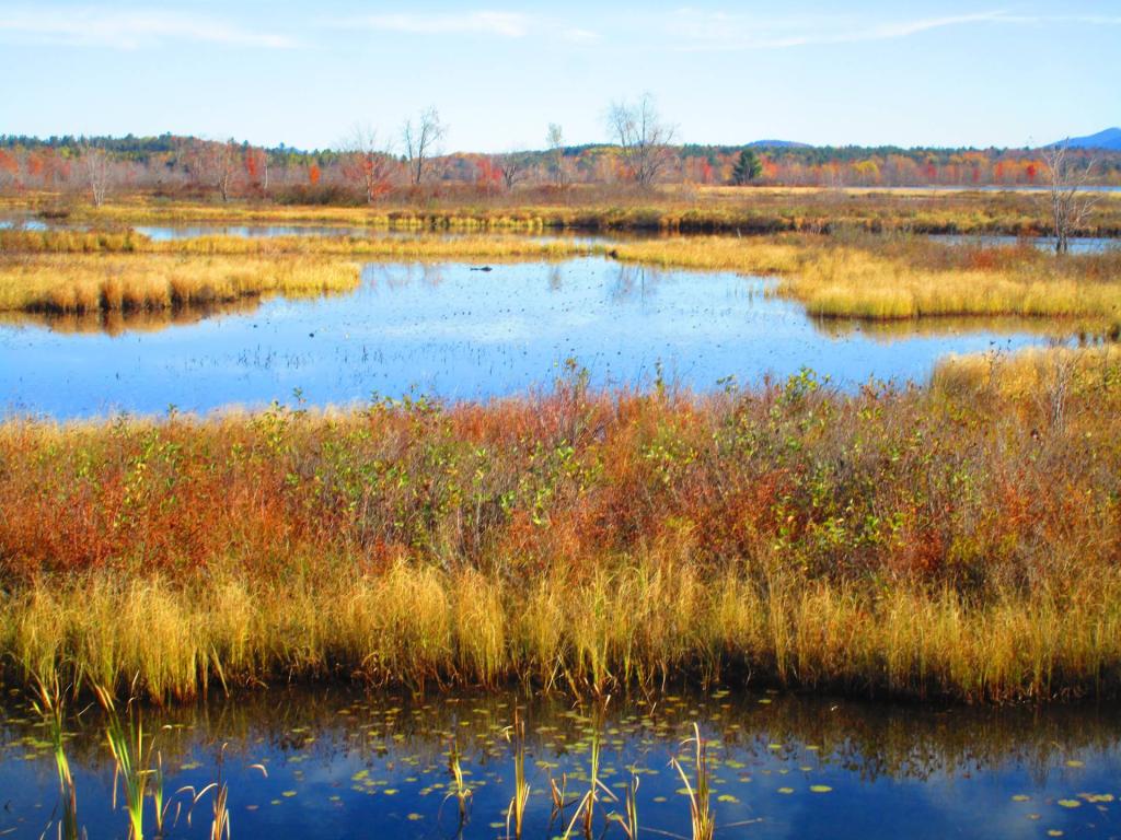 Photo: Raquette River Photo: Raquette River