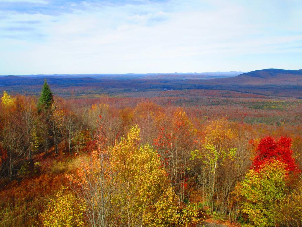 Photo: Northeast towards the Saint Lawrence Flatlands