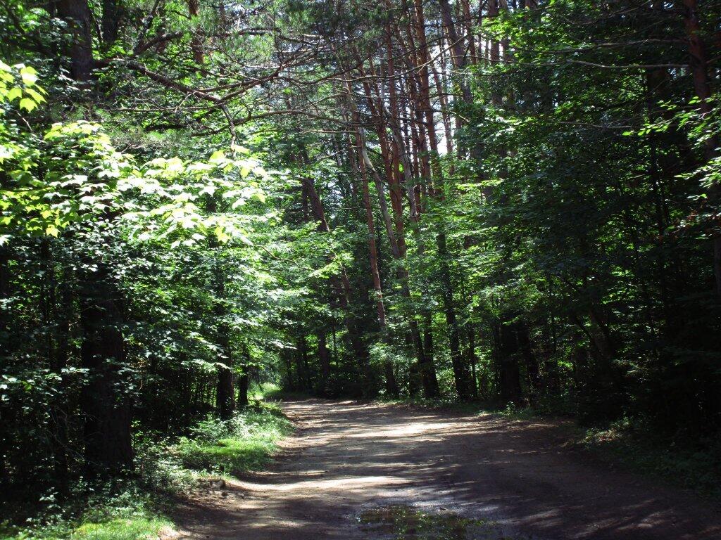 Photo: End Of West River Road