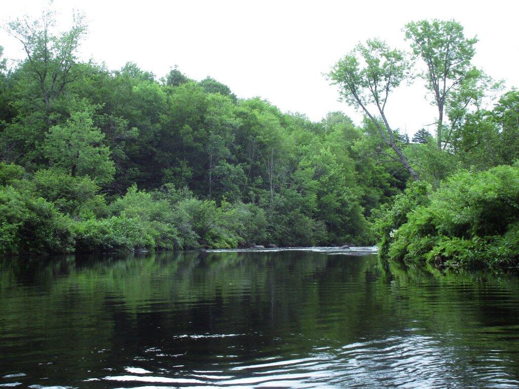 Photo: Where Auger Flats Ends And The Falls Begin Photo: Where Auger Flats Ends And The Falls Begin