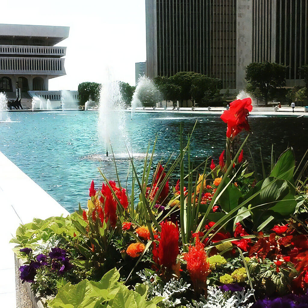 Photo: Flowers Photo: Flowers