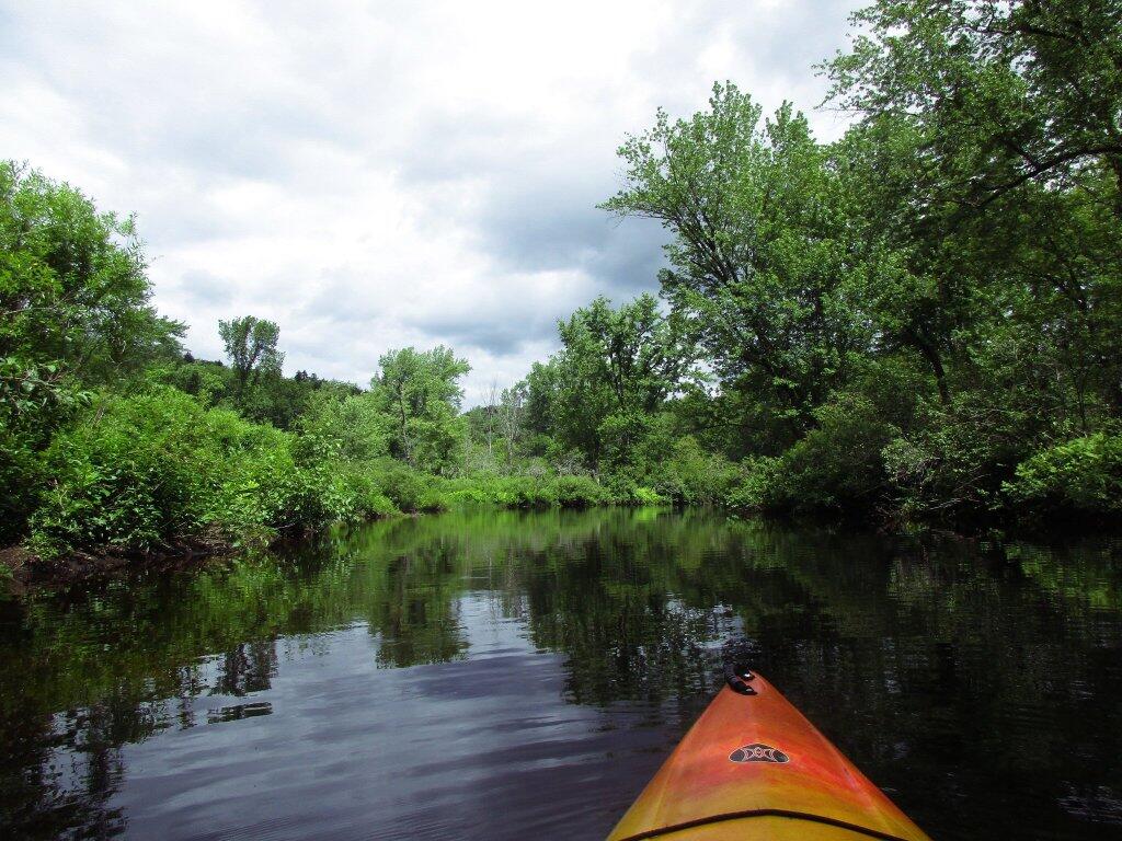 Photo: Paddling Along